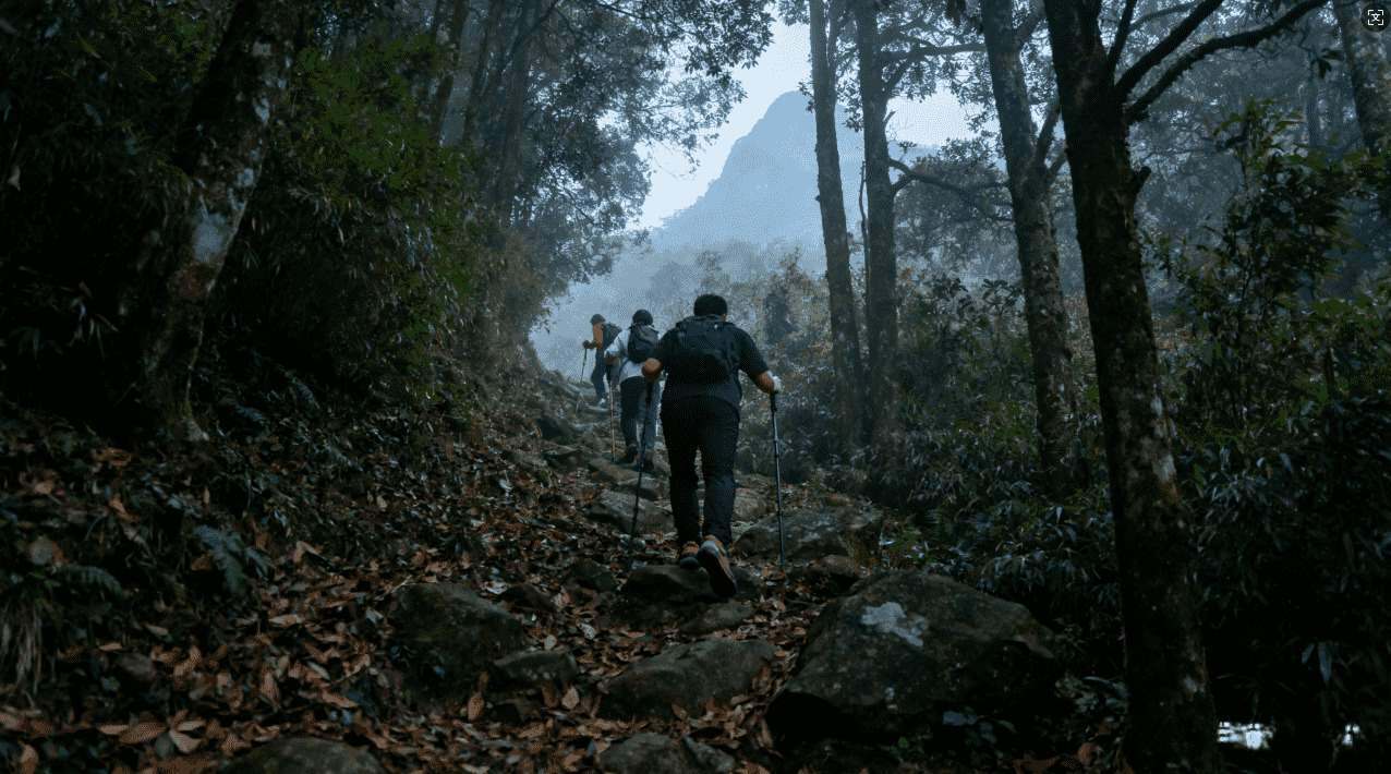 下载安装蘑菇加速器前的病毒防护建议